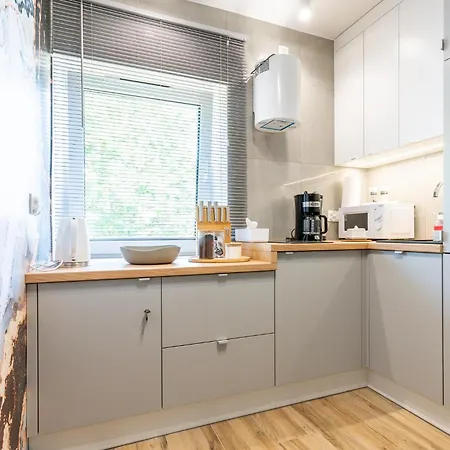 Apartment Przy Starowce Olsztyn (Warmian-Masurian)